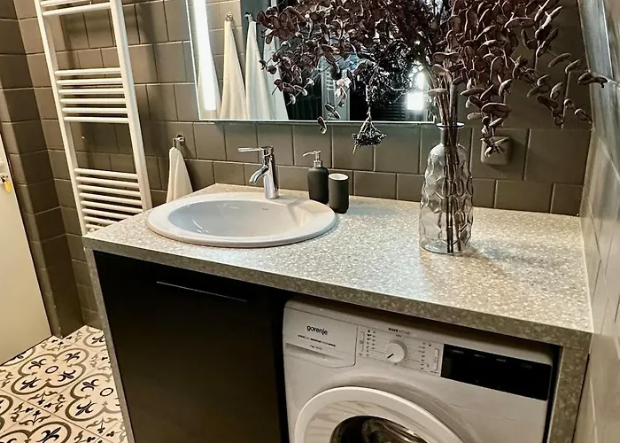 Old Town St Jacobs Cathedral View Daire *